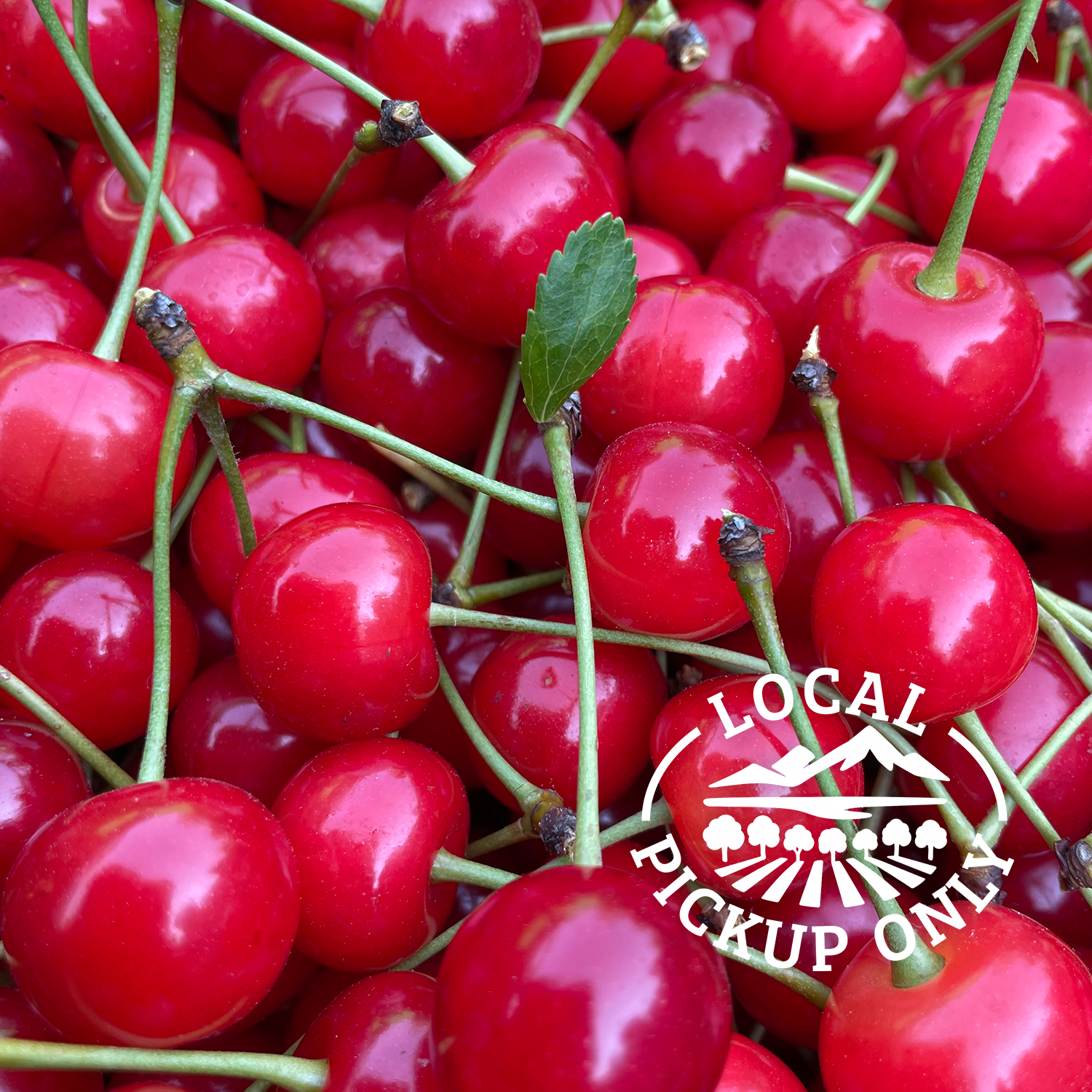 Shop — Cherrywood Orchard